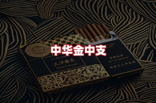 中华金中支